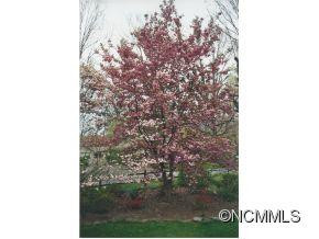 215 Padgettown Road - Photo 2