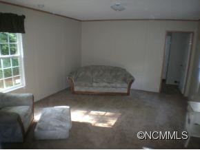 55 Pisgah View Road - Photo 3