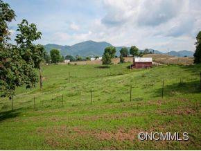 338 HAYNES COVE - Photo 2