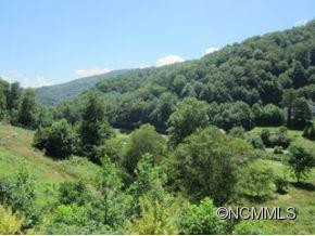 26 Spring Creek Church Road - Photo 9