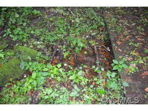 869 Apple Creek Rd - Photo 13