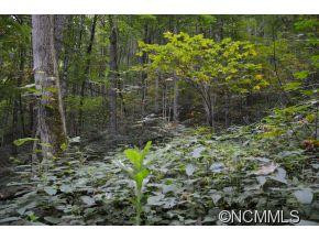 869 Apple Creek Rd - Photo 21