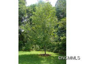 59 MCCURRY ROAD - Photo 19