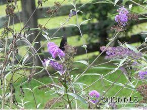 255 Red Bank - Photo 7