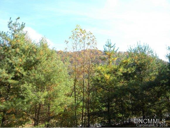 218 Potato Branch Rd - Photo 2