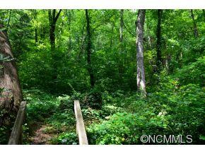 111 Chestnut Forest Road - Photo 11