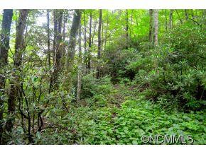 111 Chestnut Forest Road - Photo 12