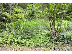 111 Chestnut Forest Road - Photo 13