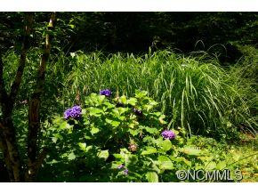 111 Chestnut Forest Road - Photo 14