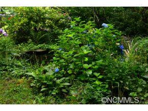 111 Chestnut Forest Road - Photo 15