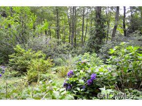 111 Chestnut Forest Road - Photo 20
