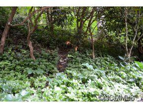 111 Chestnut Forest Road - Photo 21