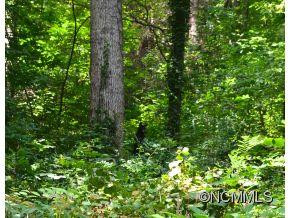 111 Chestnut Forest Road - Photo 22