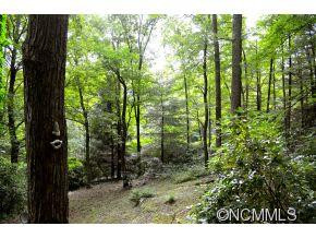 111 Chestnut Forest Road - Photo 23