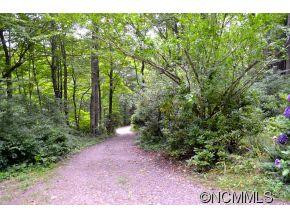 111 Chestnut Forest Road - Photo 8
