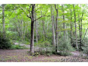 111 Chestnut Forest Road - Photo 9