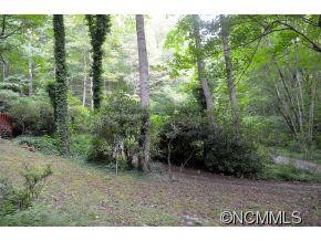 111 Chestnut Forest Road - Photo 10