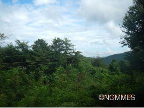 263 Bearwallow - Photo 2