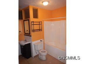 263 Bearwallow - Photo 5