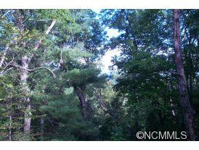 129 Foxs Trail - Photo 4