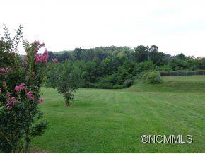512 Howard Gap Road - Photo 3