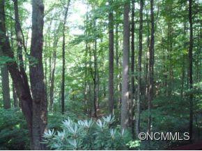 78 Fernbrook Drive - Photo 14