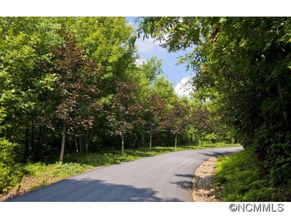175 Carolina Hills Drive - Photo 4