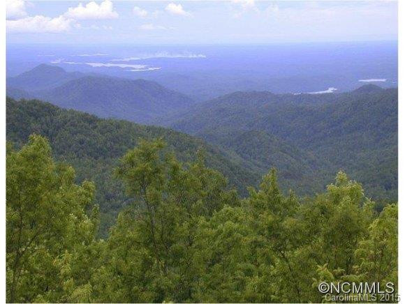 1314 Indian Camp Mountain Rd. - Photo 2