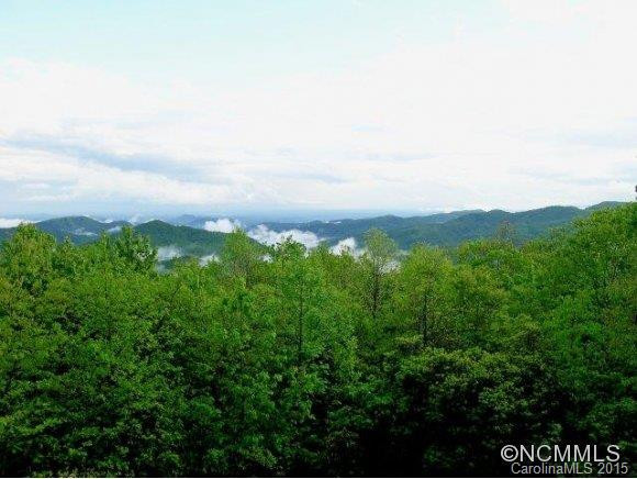1314 Indian Camp Mountain Rd. - Photo 3
