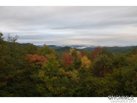 1314 Indian Camp Mountain Rd. - Photo 21
