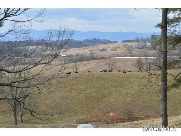 17 Alexander Farms Lane - Photo 2