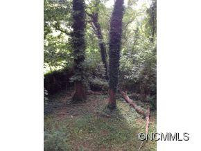 10 Wildwood - Photo 6