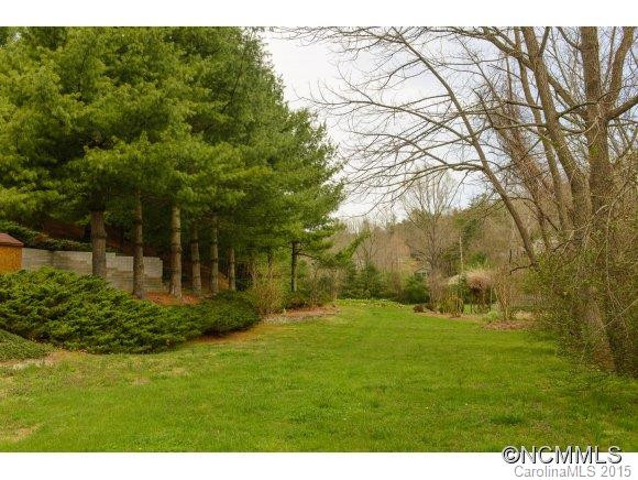 1410 Pisgah Highway - Photo 17