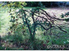 73 Brown Lynch Road - Photo 23