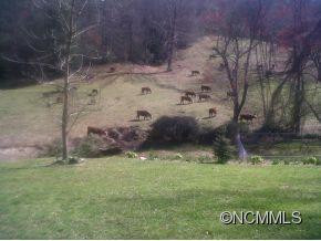 1437 Island Ford Rd - Photo 22