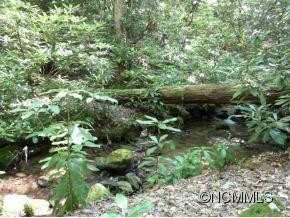 745 B Black Oak Cove Road - Photo 12