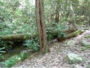 745 B Black Oak Cove Road - Photo 10