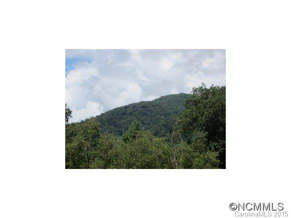 636 Staggerweed Road - Photo 9