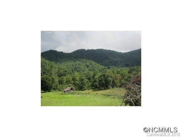 636 Staggerweed Road - Photo 10