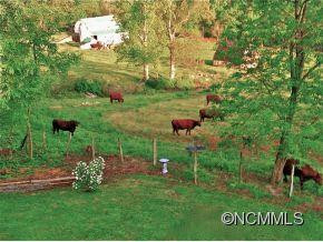 262 Sams Trl - Photo 24