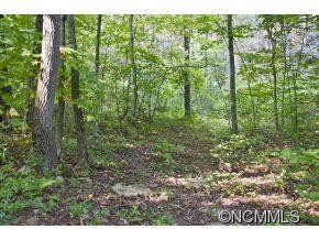 32 Trillium Cove Lane - Photo 5