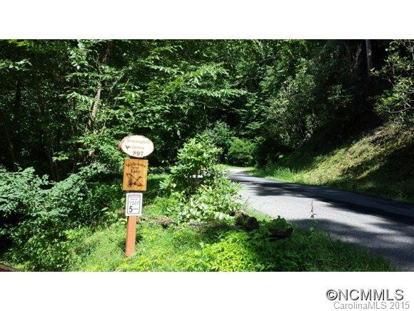 897 Woods Mountain Trail - Photo 2