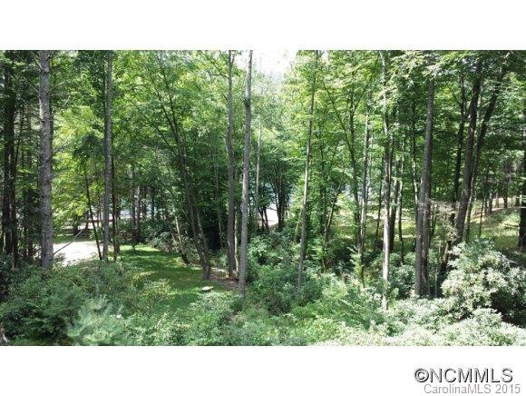 897 Woods Mountain Trail - Photo 17