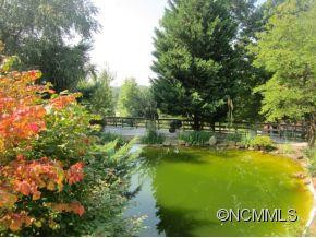1515 Red Fox Road - Photo 3