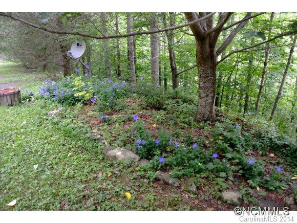 75 Cracker Trail - Photo 21