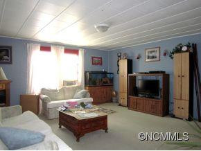 223 Hookers Gap Road - Photo 2