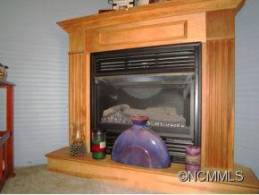 223 Hookers Gap Road - Photo 4