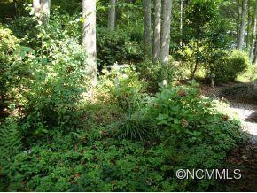 49 Lake Drive - Photo 7