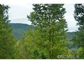 102 PANTHER MOUNTAIN ROAD - Photo 18