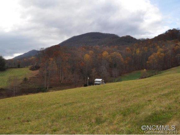 1227 NEWFOUND RD - Photo 3